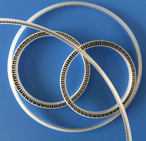 Sping Seals V Type Ptfe