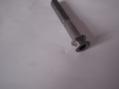 Stainless Steel Non Standard Screw