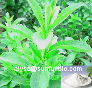 Stevia Extract Steviosides