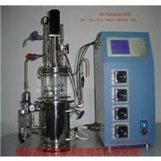 The Bioreactor Microalgal Bioreactors Light Biological Reaction Equipment