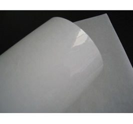 Thermal Transfer Polypropylene Label