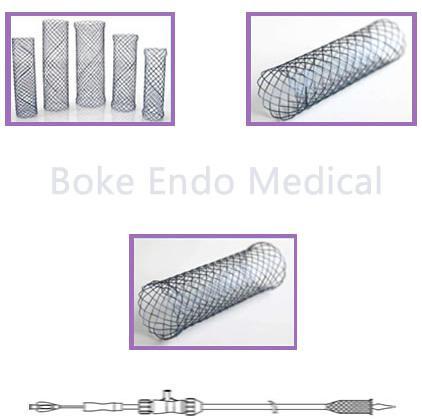 Trachea Bronchus Stent Self Expendable