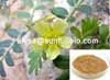 Tribulus Terrestris Extract