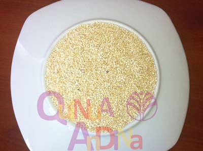 White Quinoa Quinua Blanca