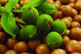 Wholesale Supplier Of Bulk 100 Virgin Argan Oil