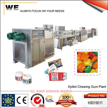 Xylitol Chewing Gum Plant